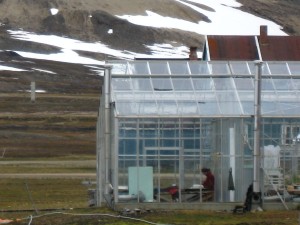 in the greenhouse